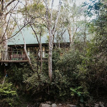 Rockwood Karkloof Forest Lodge & Mountain Cabin Karkloof Nature Reserve ภายนอก รูปภาพ