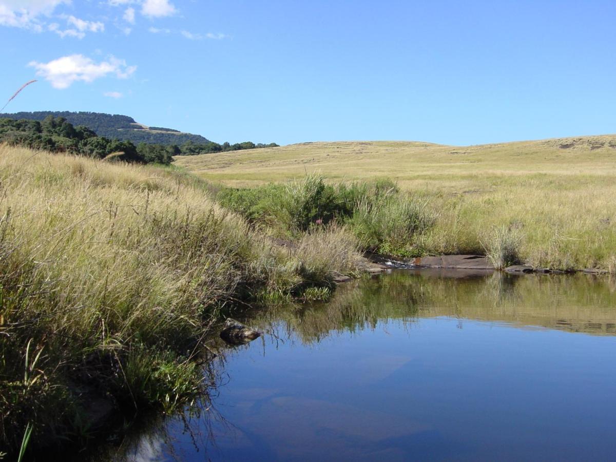 Rockwood Karkloof Forest Lodge & Mountain Cabin Karkloof Nature Reserve ภายนอก รูปภาพ