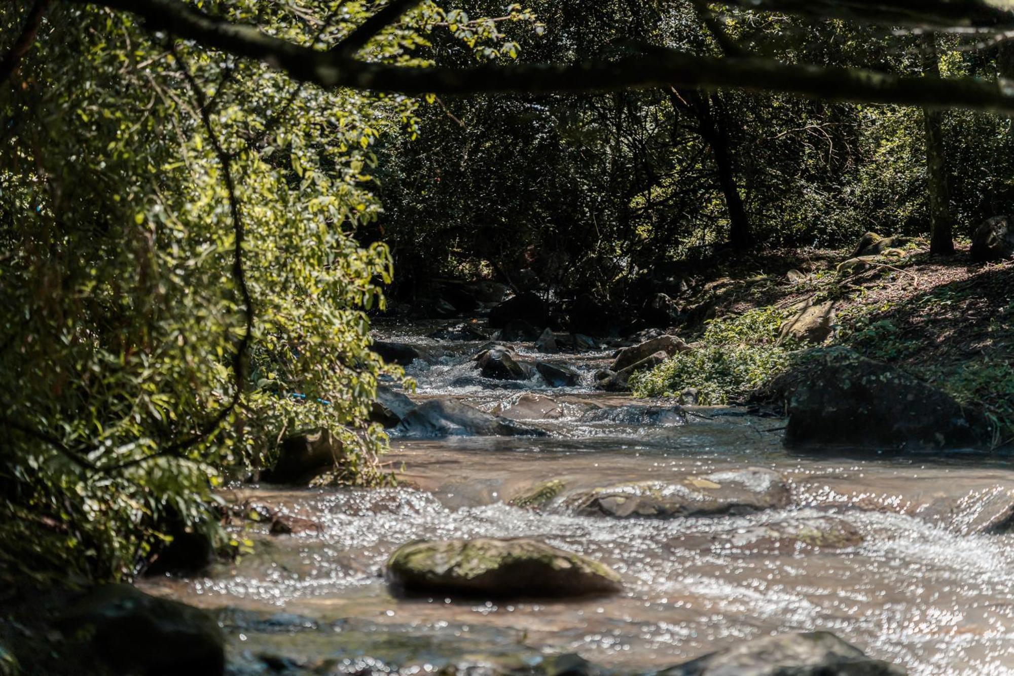 Rockwood Karkloof Forest Lodge & Mountain Cabin Karkloof Nature Reserve ภายนอก รูปภาพ